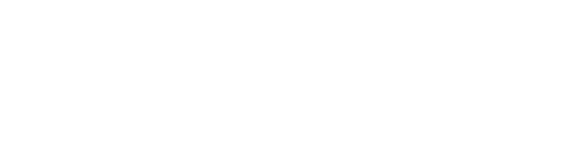 Brink-Motorsport_2022_wht